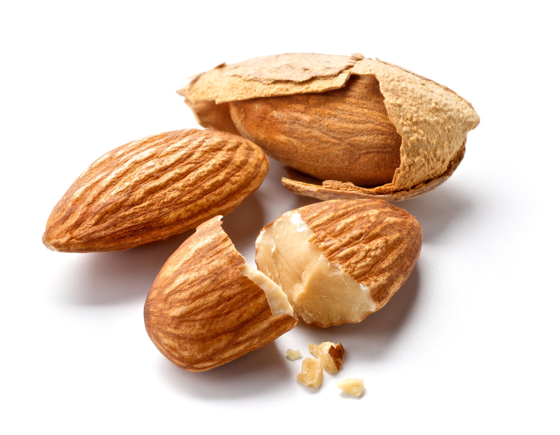 All_in_one_almond_tree_8__9183