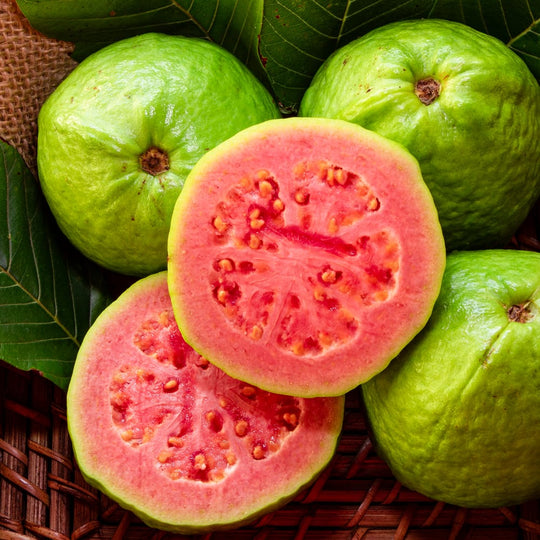 Asian Pink Guava Tree - 15 Gallon