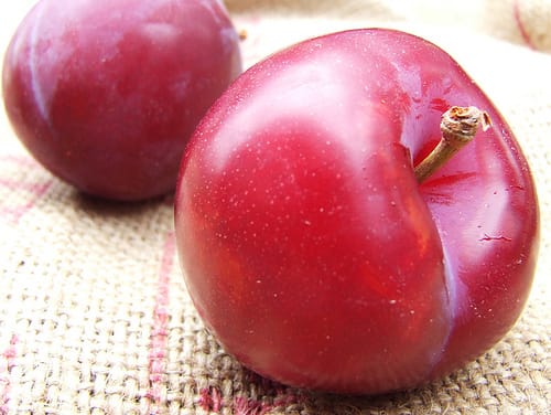 Santa Rosa Plum Tree - 15 Gallon