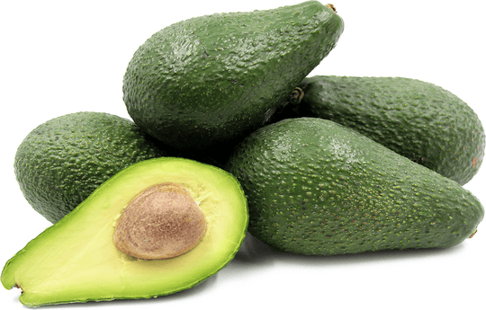 Pinkerton Avocado Tree - 15 Gallon