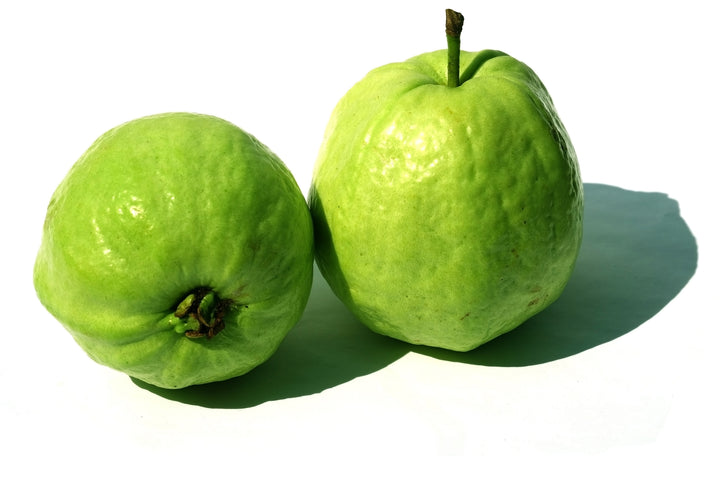 Asian White Guava Tree - 15 Gallon