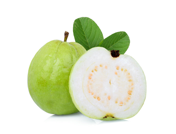 Asian White Guava Tree - 15 Gallon