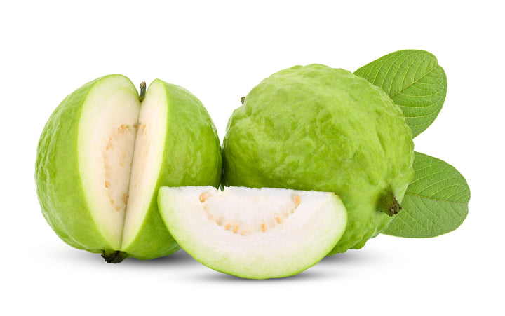 Asian White Guava Tree - 15 Gallon