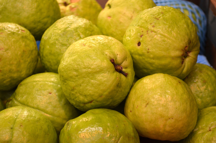 Asian Pink Guava Tree - 15 Gallon