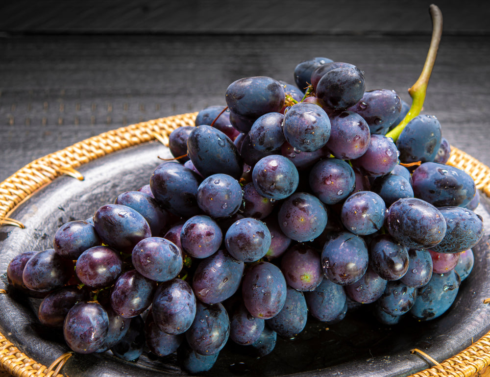 Autumn Royal Seedless Table Grape Vine - 5 Gallon