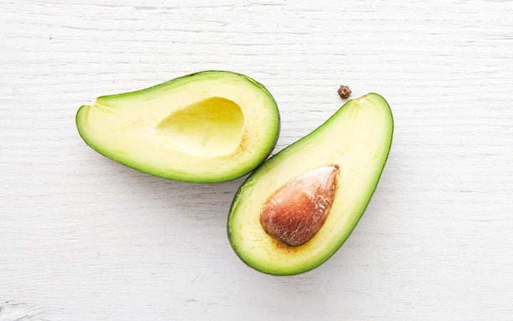 Fuerte Avocado Tree - 15 Gallon