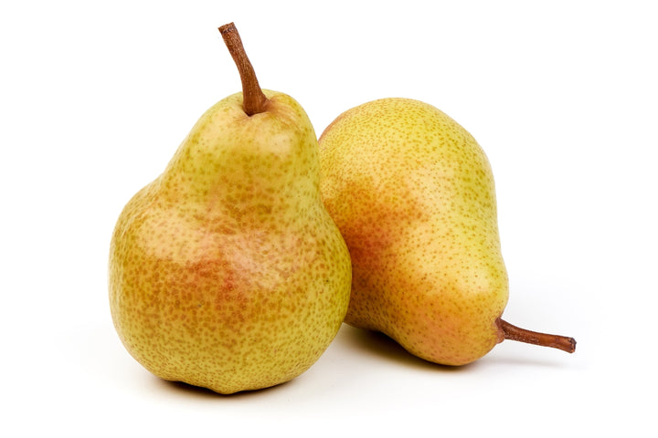 Barlett Pear Tree - 15 Gallon