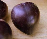 Elephant Heart Plum Tree - 24" Box