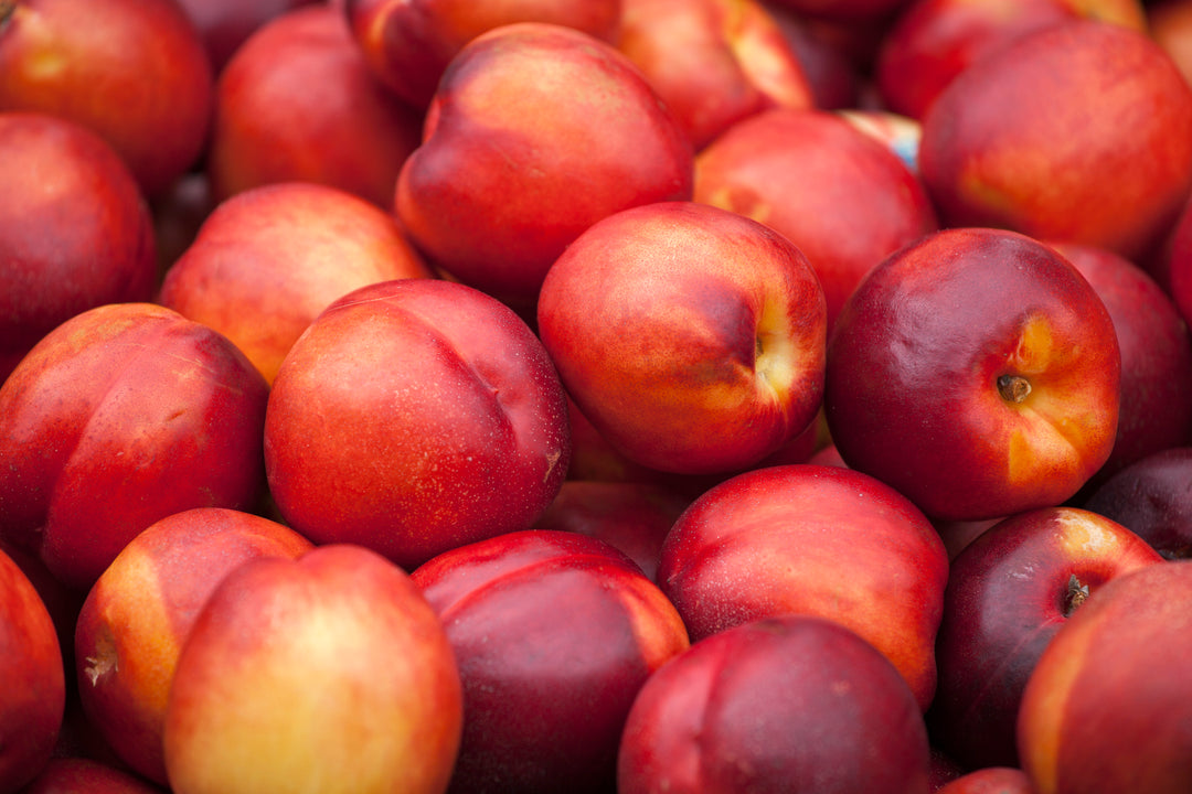 Fantasia Nectarine Tree - 15 Gallon