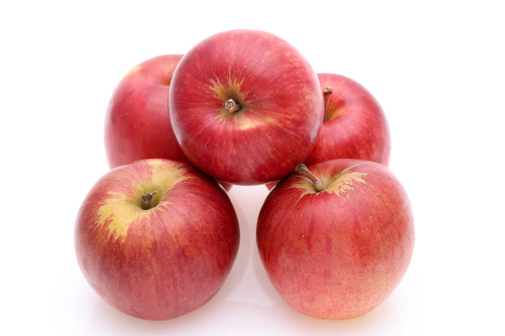 Fuji Apple Tree - 15 Gallon