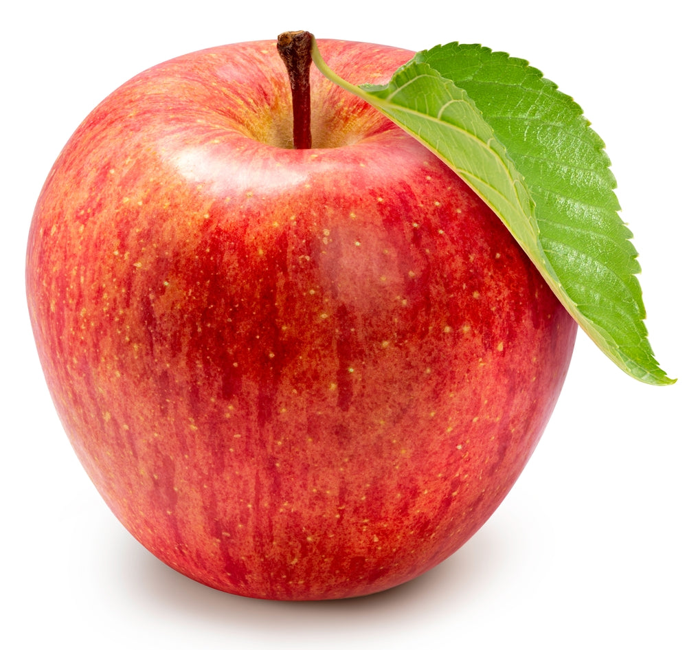 Fuji Apple Tree - 15 Gallon