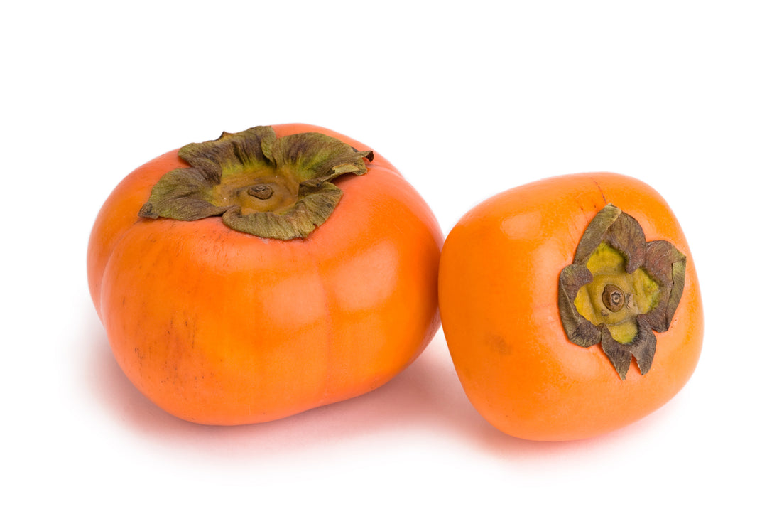Fuyu Persimmon Tree - 15 Gallon
