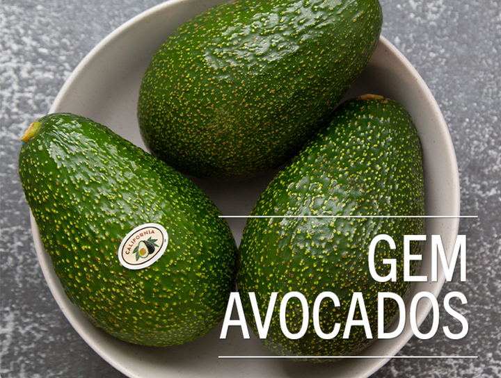 Gem Avocado Tree - 15 Gallon