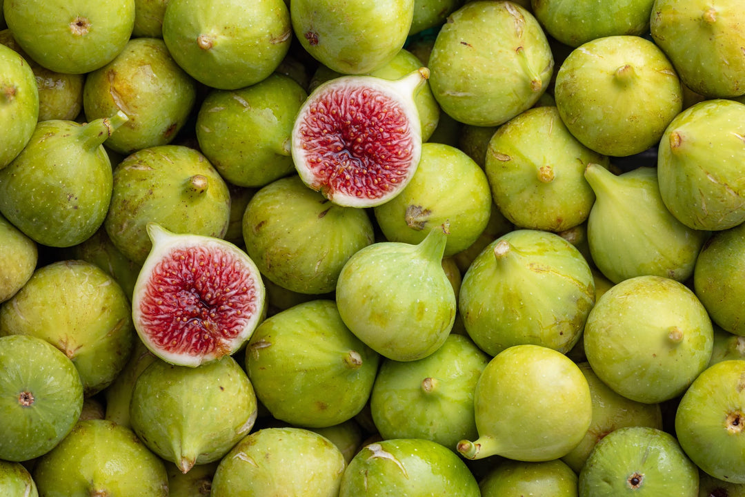 Kadota Green Figs Plant