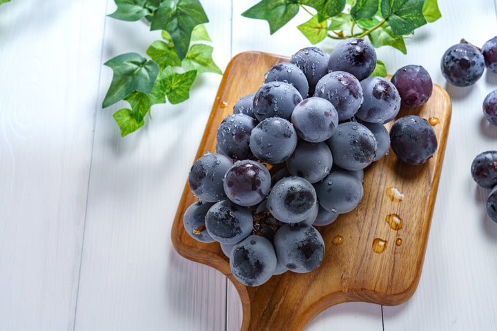 Kyoho Table Grape Vine - 5 Gallon