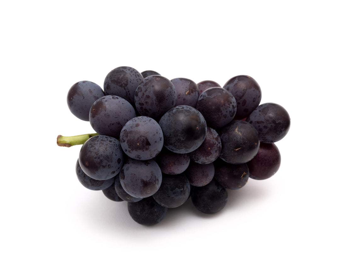 Kyoho Table Grape Vine - 5 Gallon