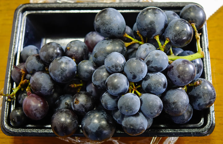 Kyoho Table Grape Vine - 5 Gallon