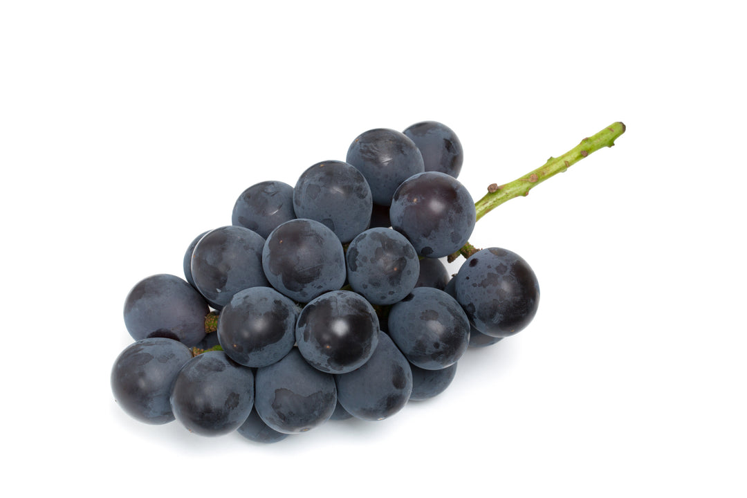 Kyoho Table Grape Vine - 5 Gallon