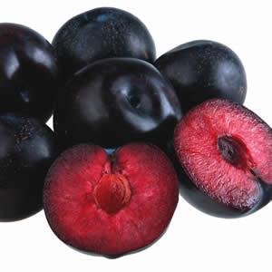 Mariposa Plum Tree - 15 Gallon