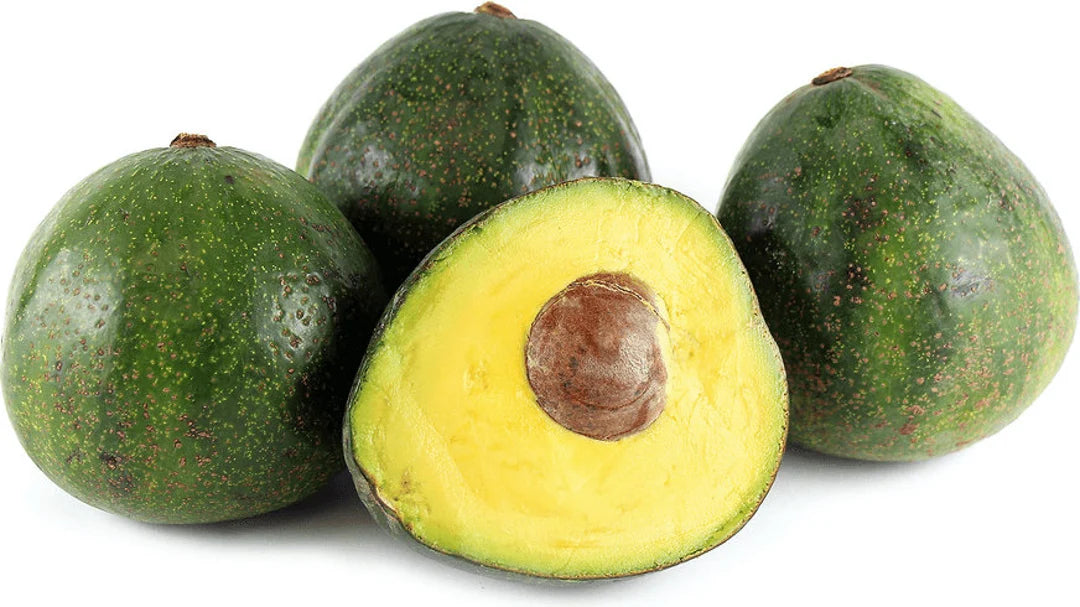 Nabal Avocado - 15 Gallon