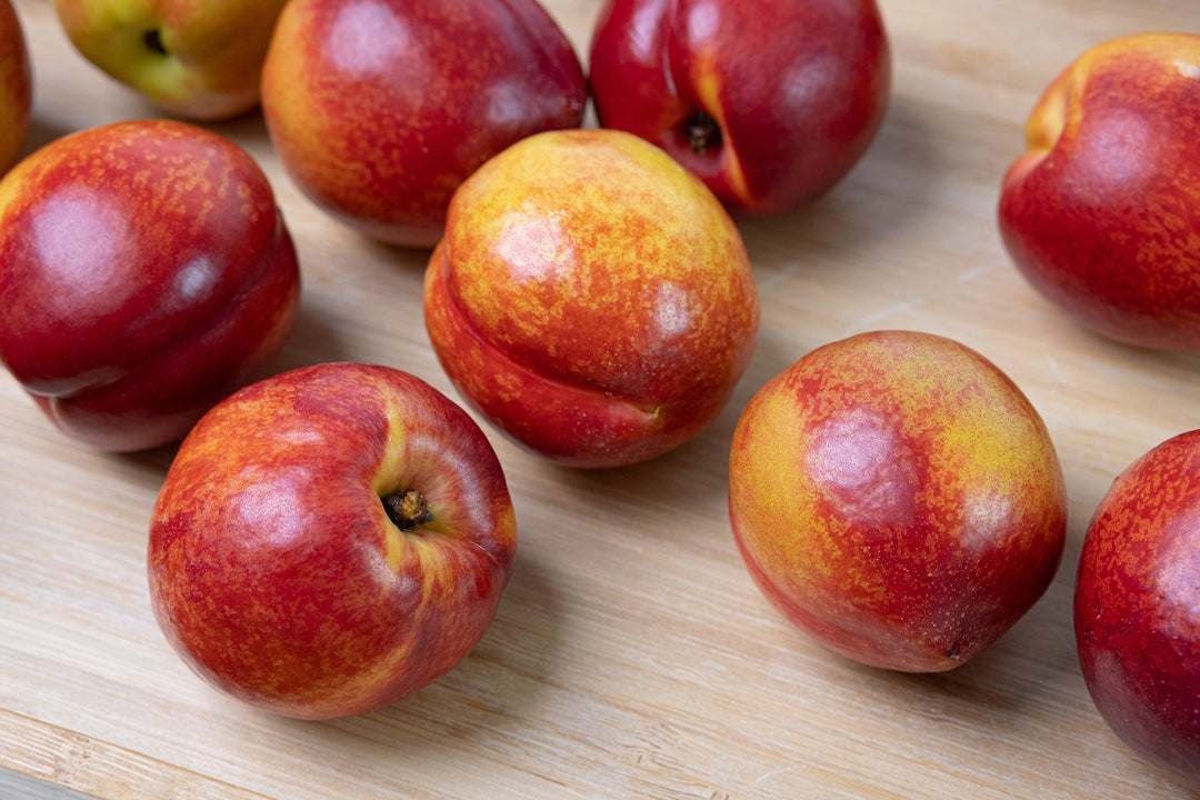 Panamint Nectarine Tree - 24" Box