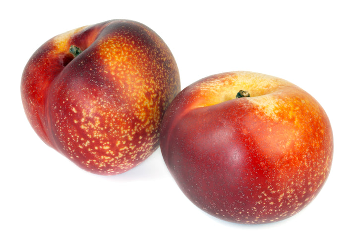 Panamint Nectarine Tree - 24" Box