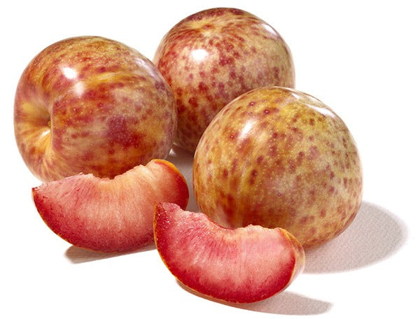 Pluot Tree - 15 Gallon