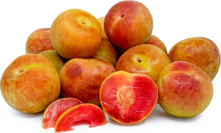 Pluot Tree - 15 Gallon