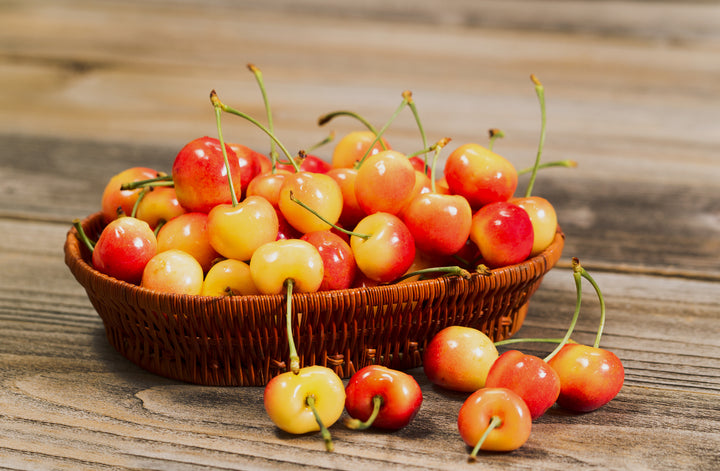 Rainier Cherry Tree - 15 Gallon