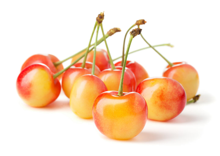 Rainier Cherry Tree - 15 Gallon