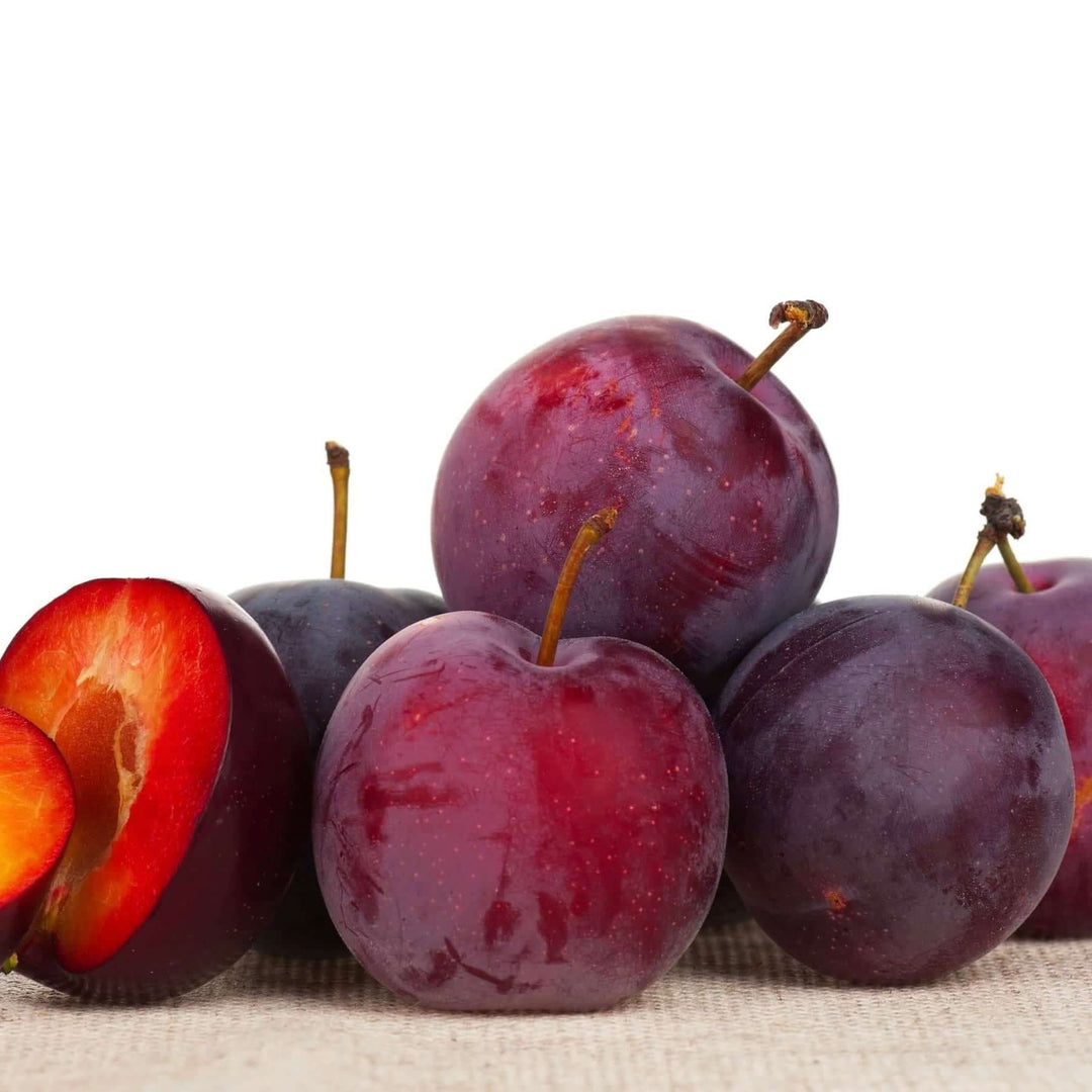 Satsuma Plum Tree - 15 Gallon