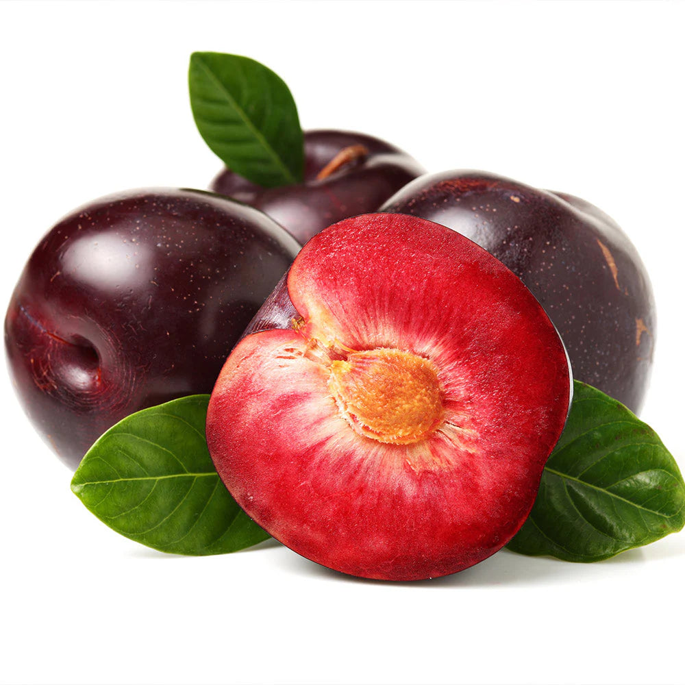 Satsuma Plum Tree - 15 Gallon