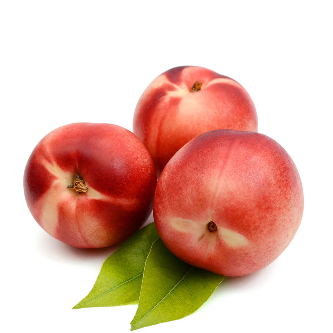 Snow Queen Nectarine Tree - 15 Gallon