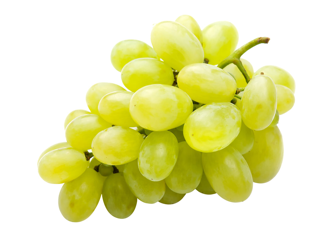 Thompson Green Seedless Table Grape Vine - 5 Gallon