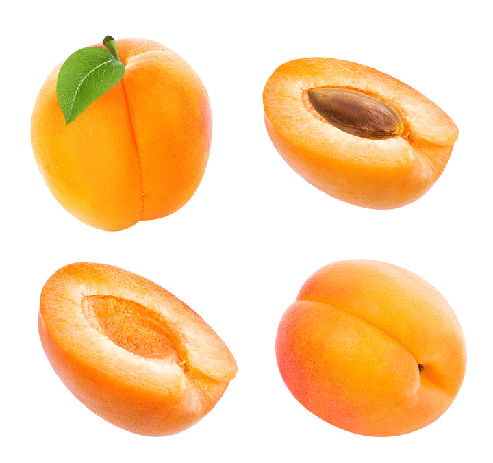 Tilton Apricot Tree - 15 Gallon