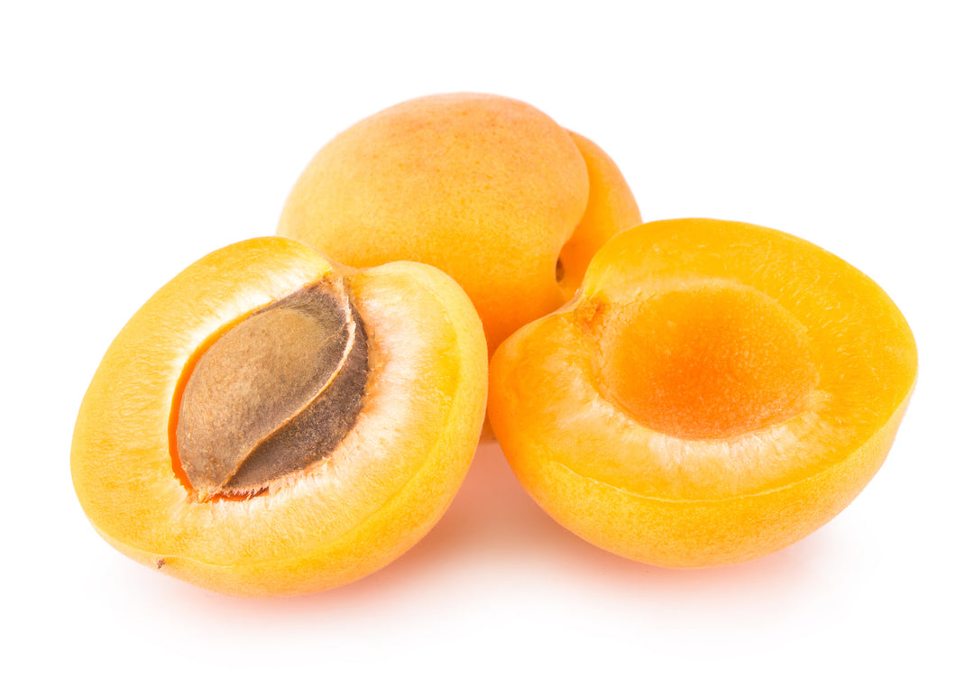 Tilton Apricot Tree - 15 Gallon