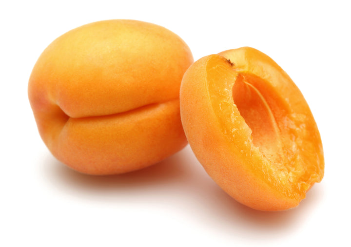 Tilton Apricot Tree - 15 Gallon