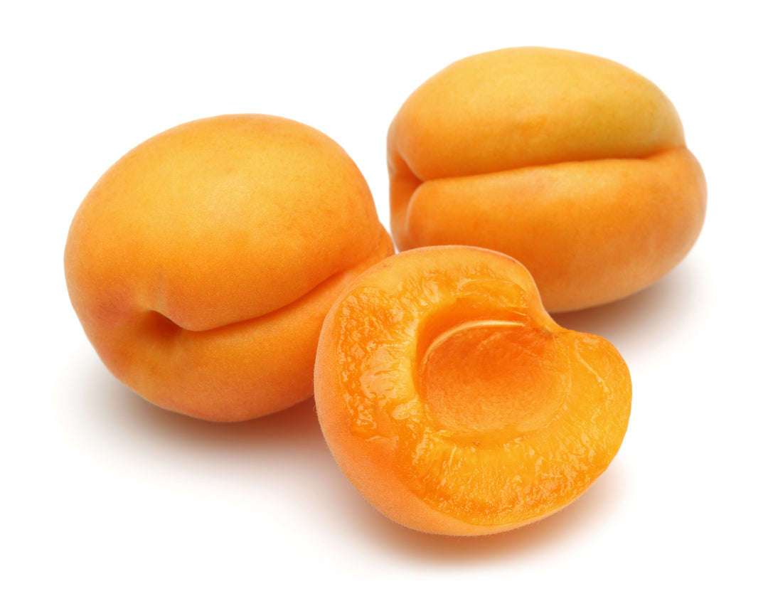 Tilton Apricot Tree - 15 Gallon