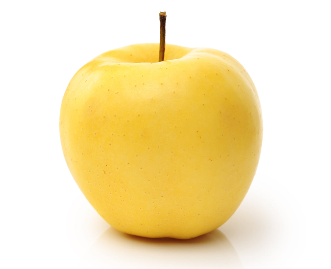 Yellow Delicious Apple Tree - 24" Box