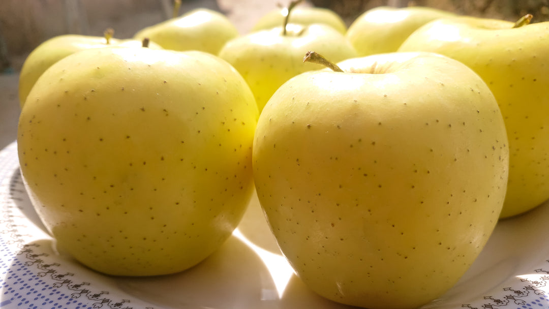 Yellow Delicious Apple Tree - 24" Box