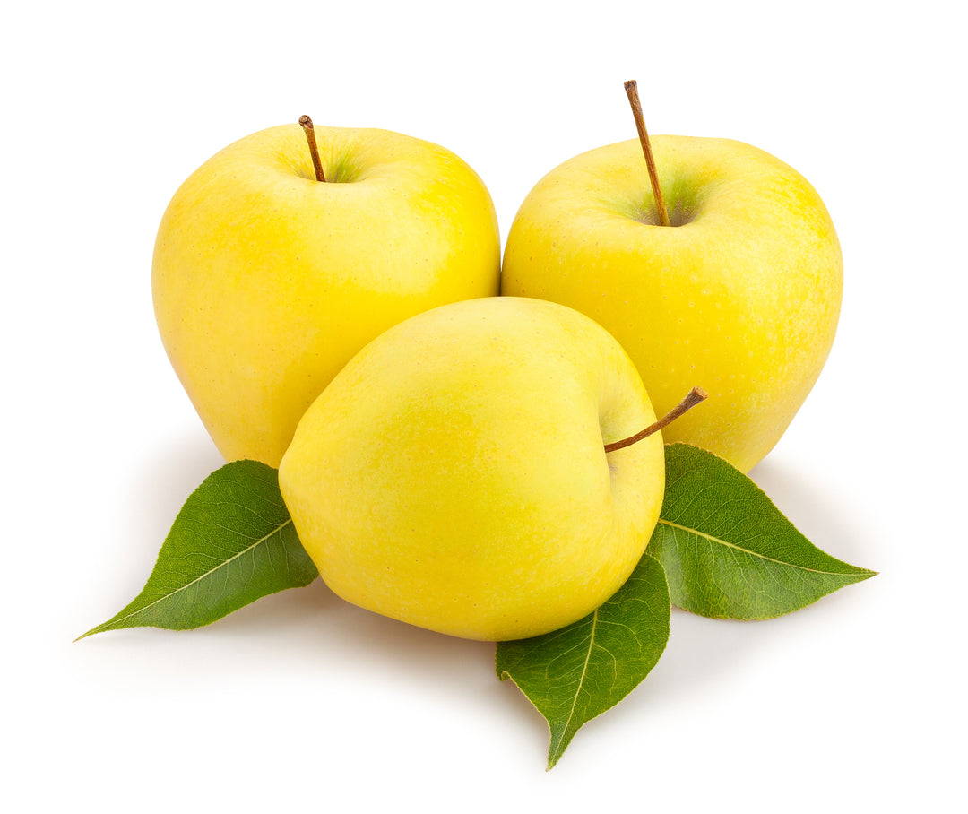 Yellow Delicious Apple Tree - 24" Box