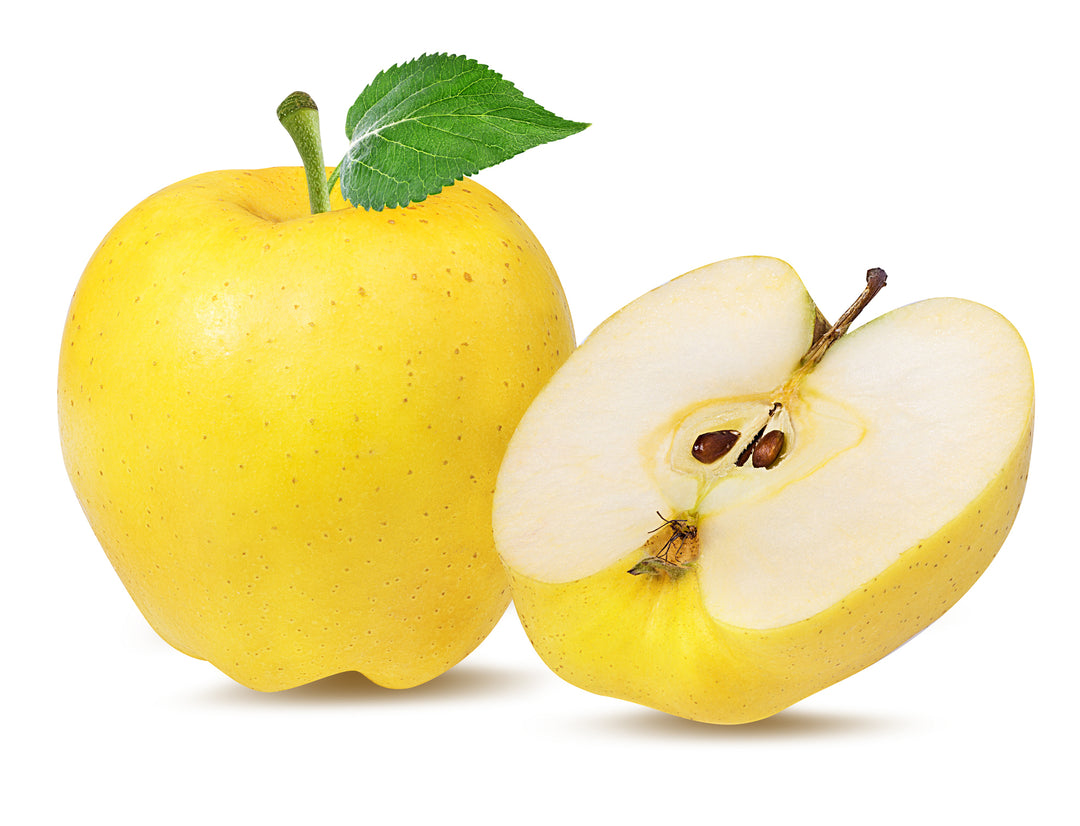 Yellow Delicious Apple Tree - 24" Box