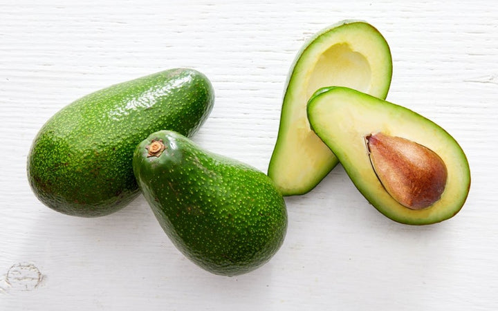 Pinkerton Avocado Tree - 15 Gallon