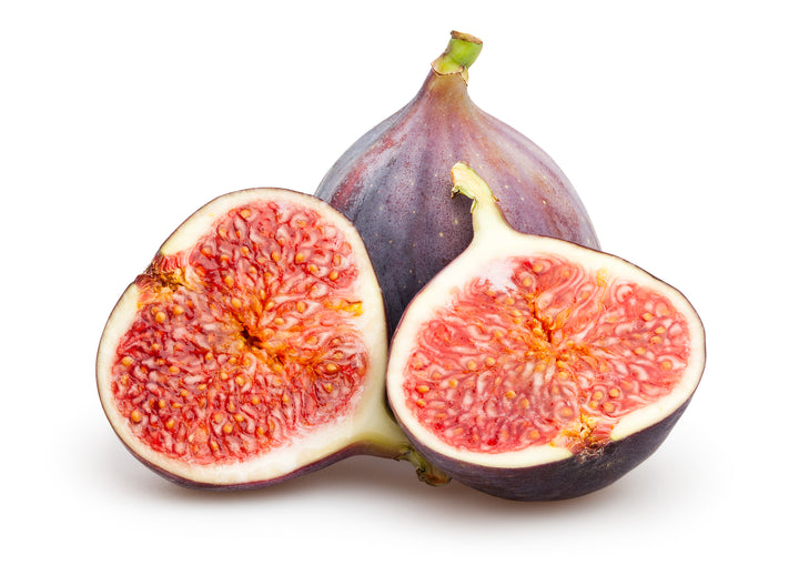 Black Mission Fig Tree - 24" Box