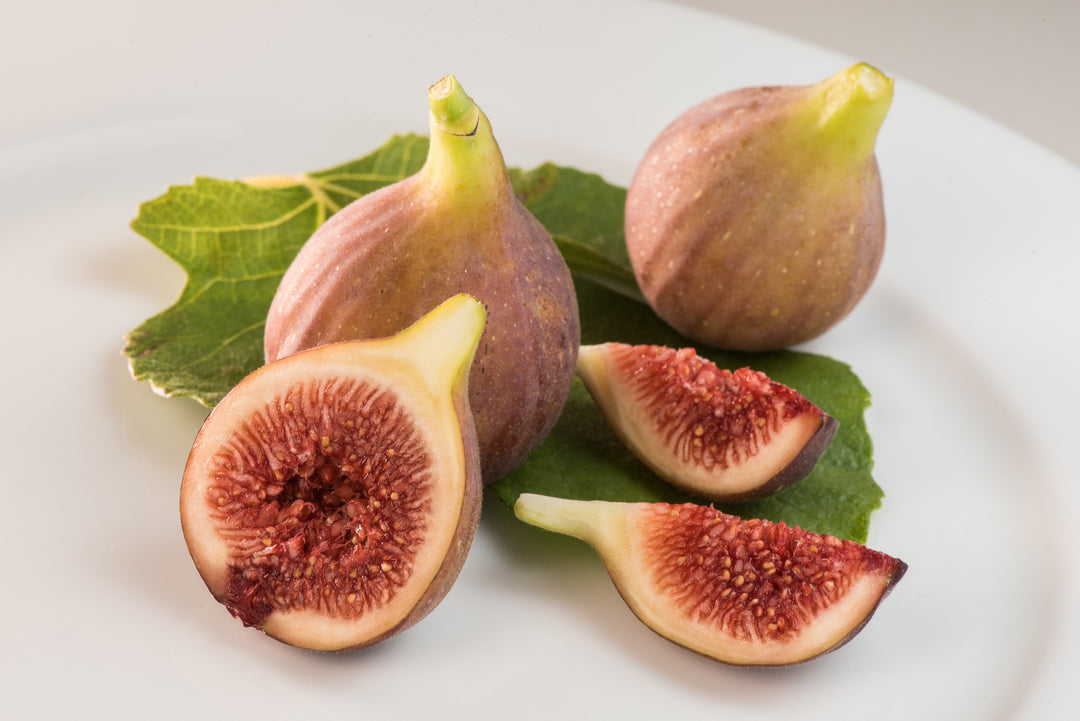 Brown Turkey Fig Tree - 24" Box
