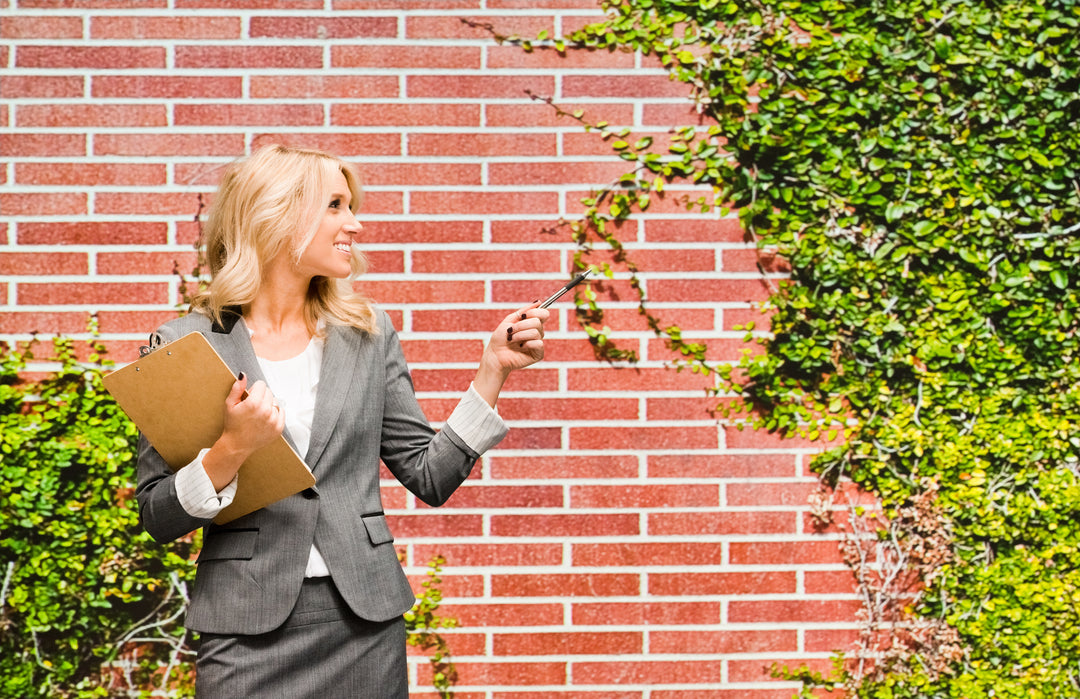 Ficus pumila (F. repens) Creeping Fig (Vine Type) - 5 Gallon