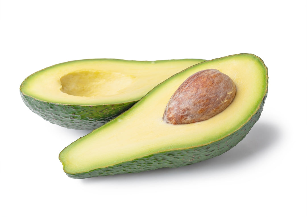 Ettinger Avocado Tree - 24" Box