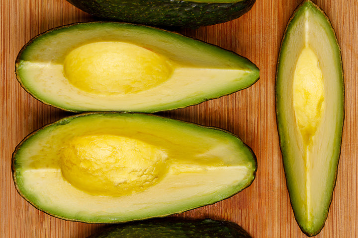 Fuerte Avocado Tree - 15 Gallon