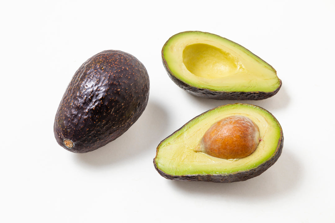 Hass Avocado Tree - 15 Gallon