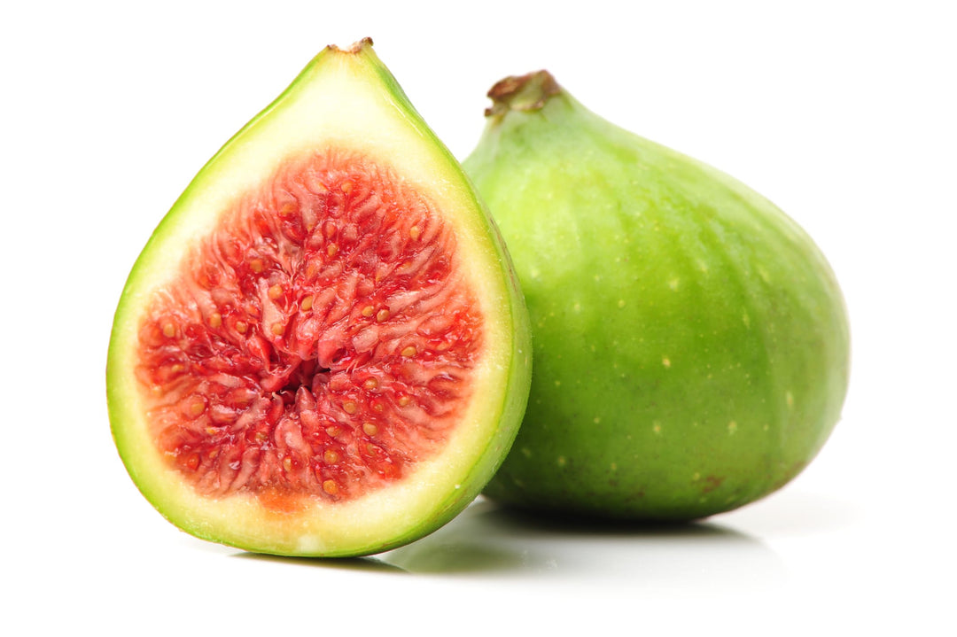 Kadota Green Fig Tree Plant